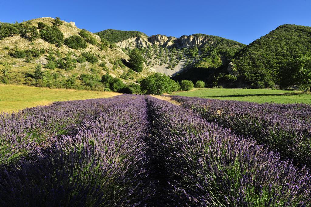 Vvf Drome Provence Hotel Montbrun-les-Bains Eksteriør billede